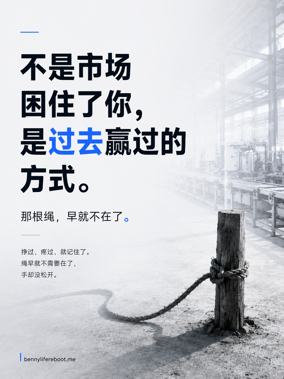 那头被绳子拴住的小象